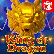 Đội ngũ chuyên nghiệp p3bet chính thức