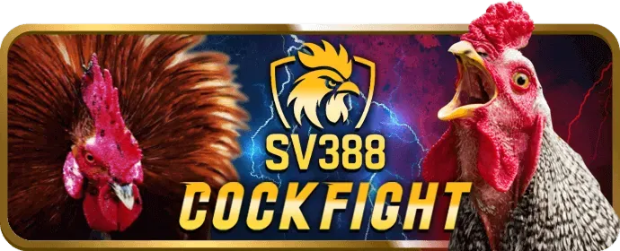 Cá cược thể thao p3bet chính thức